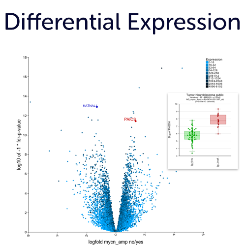 r2-genomics-analysis-and-visualization-platform