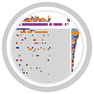 R2 Genomics Analysis and Visualization Platform: ITCC-P4 (gGmbH open)