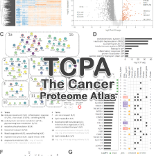R2 Genomics Analysis and Visualization Platform
